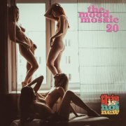 VA - The Mood Mosaic 20 - This Is Hot New (2023)