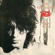 The Waterboys - A Pagan Place (Remastered) (1984/2002)