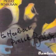 Pierre Bensusan - Bamboulé (1993)