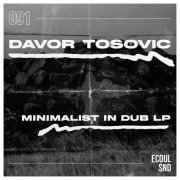 Davor Tosovic - Minimalist in Dub (2024)