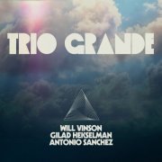 Will Vinson, Antonio Sanchez & Gilad Hekselman - Trio Grande (2020) [Hi-Res]
