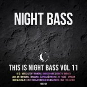 VA - This is Night Bass: Vol. 11 (2020)