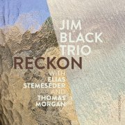 Jim Black Trio with Jim Black, Elias Stemeseder, Thomas Morgan - Reckon (2020) [Hi-Res]