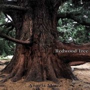 Angela Maria - Redwood Tree (2019)