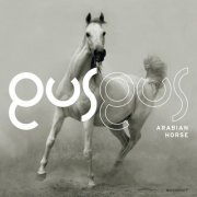 GusGus - Arabian Horse (2011) [.flac 24bit/44.1kHz]
