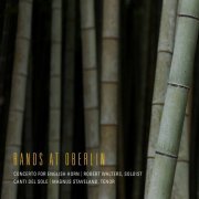 Robert Walters, Canti Del Sole, Magnus Staveland - Bernard Rands: English Horn Concerto & Cati del sole (2020) [Hi-Res]