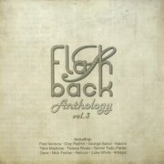 VA - Flashback Anthology Vol. 3 (2022)