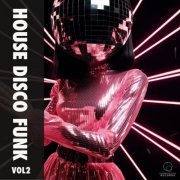 VA - House Disco Funk Vol 2 (2024)