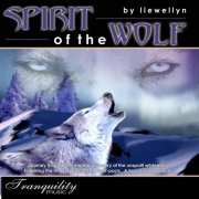 Llewellyn - The Spirit Of The Wolf (1998)