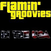 Flamin' Groovies - In The USA (2010)