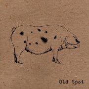 Old Spot - Old Spot (2023) [Hi-Res]