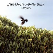 Chris Wollard, The Ship Thieves - Canyons (2012)