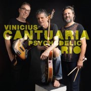 Vinicius Cantuaria - Psychedelic Rio (2024) [Hi-Res]