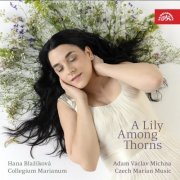 Hana Blažíková, Collegium Marianum - Michna: Czech Marian Music - Lilly Among Thorns (2022) [Hi-Res]
