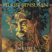 Pierre Bensusan - Intuite (2001)