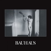 Bauhaus - In the Flat Field (2022)