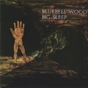 Big Sleep - Bluebell Wood (Reissue, Remastered) (1971/1996)