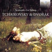 Baltic Chamber Orchestra, Czech Chamber Philharmonic Orchestra Pardubice, Roma Tre Orchestra, Orchestra Orfeo, Amati Ensemble - Tchaikovsky & Dvorak: Serenades for String (2024)