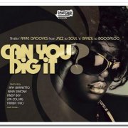 VA - Can You Dig It? Thrillin' RARE GROOVES from JAZZ to SOUL 'n' BRAZIL to BOOGALOO (2007)