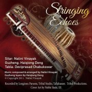 Nalini Vinayak, Deng Haiqiong, Deviprasad Chabukswar - Stringing Echoes (2024)