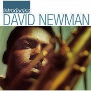 David Newman - Introducing David Newman (2008)