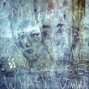Jim White - Drill a Hole in that Substrate and Tell Me What You See (Deluxe 20th Anniversary Edition) (2024)