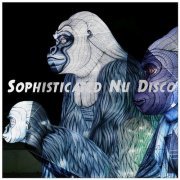 VA - Sohpisticated Nu Disco (2019)