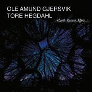Ole Amund Gjersvik & Tore Hegdahl - Dark Sacred Night (2021) Hi Res