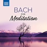 Jeno Jando, Takako Nishizaki, Lucy van Dael - Bach For Meditation (2021)