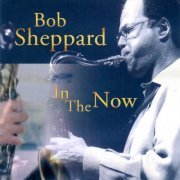 Bob Sheppard - In the Now (2002/2020)
