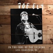 Joe Ely - In The Cool Of The Evening (Live, Charleston '95) (2022)