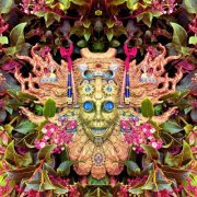 Shpongle - Carnival of Peculiarities EP (2021) [Hi-Res]