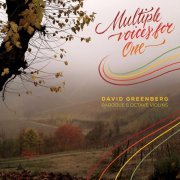David Greenberg - Multiple Voices for One (2022)