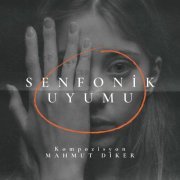 Mahmut Diker - Senfonik Uyumu (2024) Hi-Res