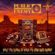 Public Enemy - What You Gonna Do When The Grid Goes Down? (2020) [Hi-Res]