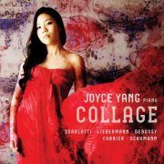 Joyce Yang - Collage (2011)