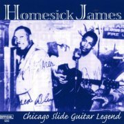 Homesick James - Chicago Slide Guitar Legend (2000)