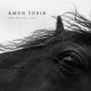 Amon Tobin - How Do You Live (2021) [Hi-Res]
