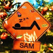 Zzz. - SAM (2024) Hi Res