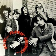 The Flamin' Groovies - 68/70 (1992)