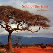 John Patitucci - Soul Of The Bass (2019) [Hi-Res]