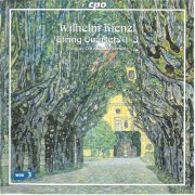 Thomas Christian Ensemble - Kienzl: String Quartets Nos. 1-3 (2003)