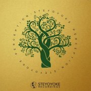 VA - Steyoyoke Perception, Vol. 5 (2019)