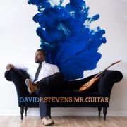 David P Stevens - Mr. Guitar (2015)