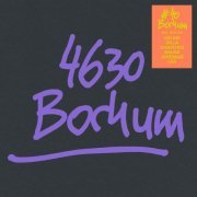 Herbert Grönemeyer - 4630 Bochum (40 Jahre Edition) (2024) Hi-Res