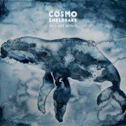Cosmo Sheldrake - Wild Wet World (2023) [Hi-Res]