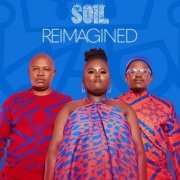 The Soil - Reimagined (2024)