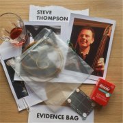 Steve Thompson - Evidence Bag (2015)