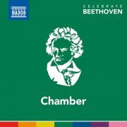 Kodály Quartet, Xyrion Trio, Fine Arts Quartet - Beethoven: Chamber Works (2020)