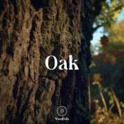 Woodfolk - Oak (2024) [Hi-Res]